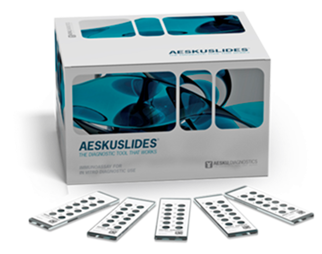 AESKUSLIDES IFA Test Kit